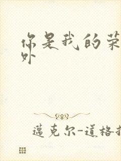 你是我的荣耀番外