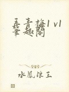 弄青梅1 v1笔趣阁