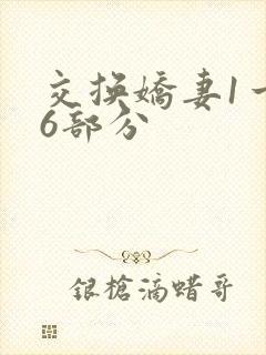 交换娇妻1一36部分