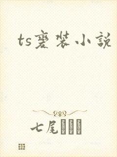 ts变装小说