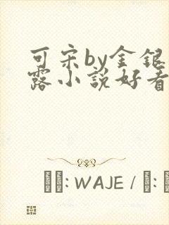 可宋by金银花露小说好看吗