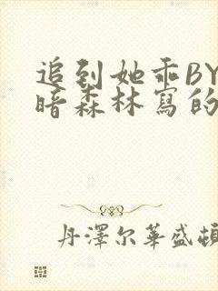 追到她乖BY黑暗森林写的小说