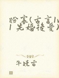 盼寡(古言1v1 先婚后爱)