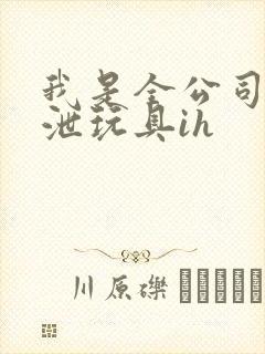 我是全公司的发泄玩具ih