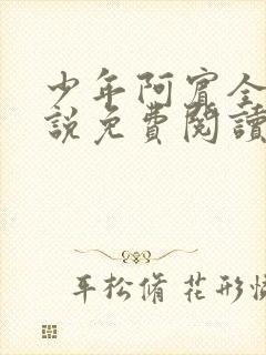 少年阿宾全文小说免费阅读笔趣阁