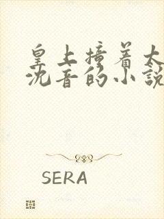 皇上撞着太子妃沈音的小说叫什么