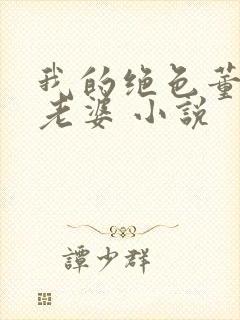 我的绝色董事长老婆 小说