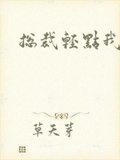 总裁轻点我怕疼