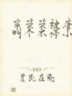 宁荣荣被唐三桶叫个不停小说