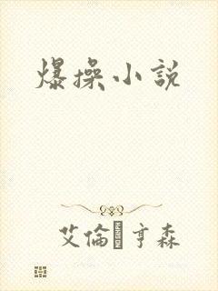 爆操小说