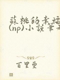 苏桃的幸福生活(np)小说笔趣阁沐沐