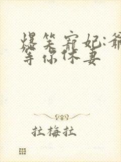 爆笑宠妃:爷我等你休妻