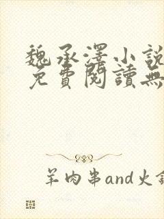 魏承泽小说全文免费阅读无弹窗笔趣