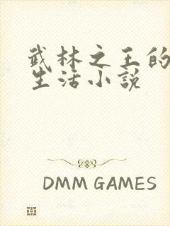 武林之王的退隐生活小说