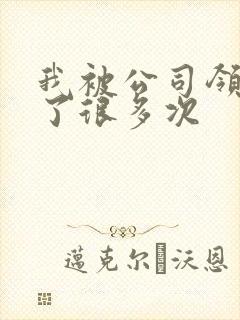 我被公司领导C了很多次