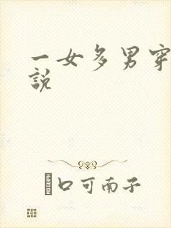 一女多男穿越小说