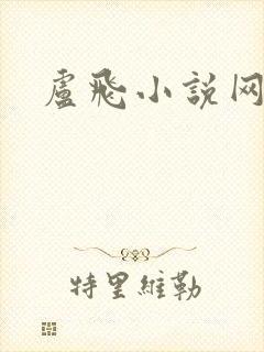 卢飞小说网