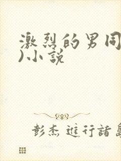 激烈的男同(h)小说