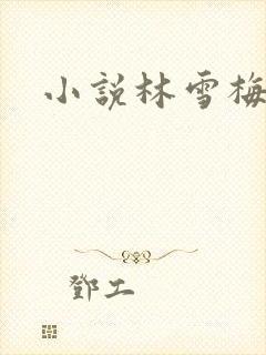 小说林雪梅