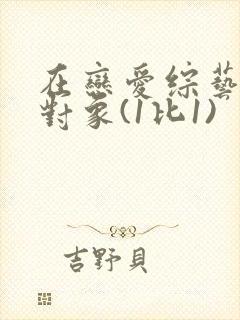 在恋爱综艺里搞对象(1比1)