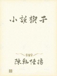 小说楔子