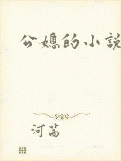 公媳的小说