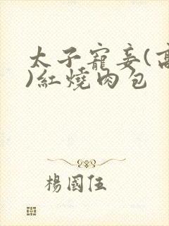 太子宠妾(高肉)红烧肉包