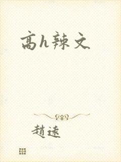 高h辣文