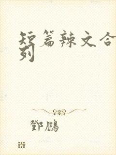 短篇辣文合集系列