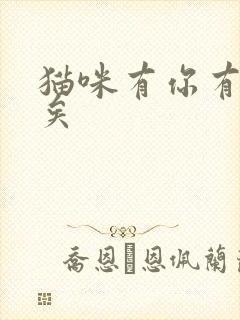 猫咪有你有我足矣