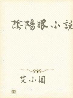 阴阳眼小说