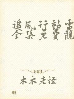 追风行动电视剧全集免费观看