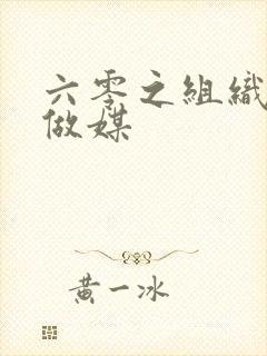 六零之组织给我做媒