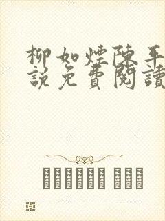 柳如烟陈平安小说免费阅读全文