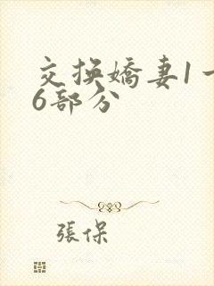 交换娇妻1一36部分