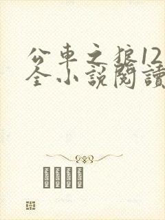 公车之狼12集全小说阅读