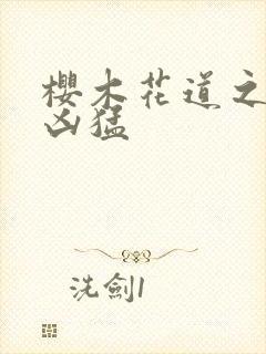 樱木花道之重生凶猛