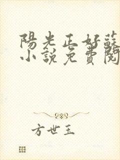 阳光正好苏玥玥小说免费阅读