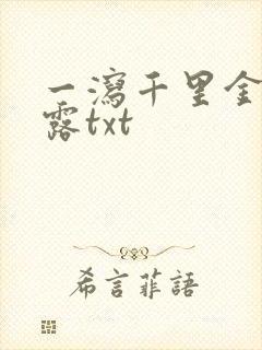 一泻千里金银花露txt