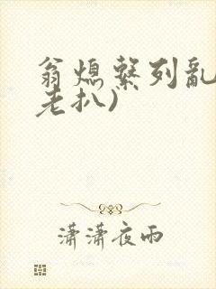 翁熄系列乱 (老扒)