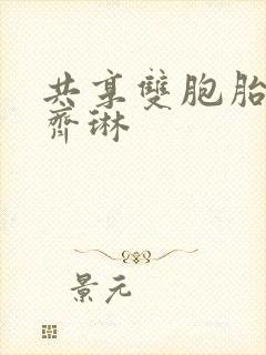 共享双胞胎齐娜齐琳