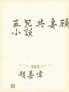 五兄共妻顾心儿小说