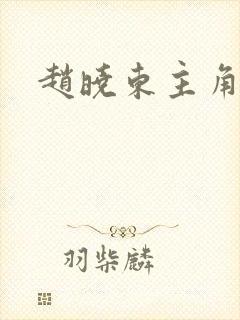 赵晓东主角小说