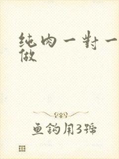 纯肉一对一到处做