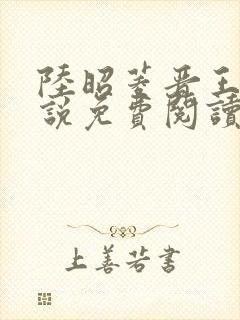 陆昭菱晋王的小说免费阅读