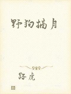 野狗摘月