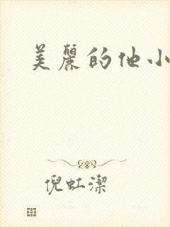 美丽的他小说