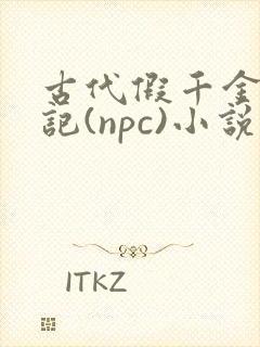 古代假千金挨日记(npc)小说