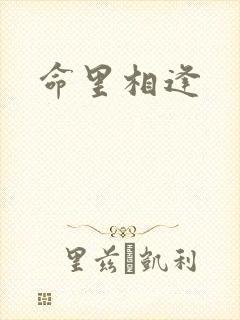 命里相逢
