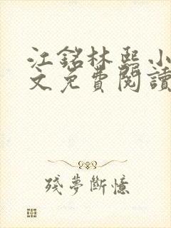 江铭林熙小说全文免费阅读